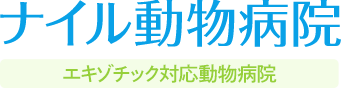 ナイル動物病院｜豊中市｜犬猫｜エキゾチックペットの診療
